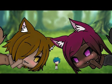 My giant wolves/Pt 1