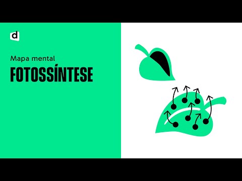 PHOTOSYNTHESIS | BIOLOGY | Mind Map | Want Me to Draw