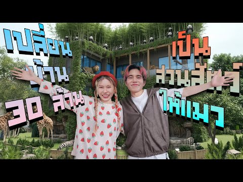 เปลี่ยนบ้าน 30ล้าน เป็นสวนสัตว์ให้แมว งบ 100,000 บาท