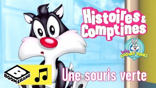 Une souris Verte | Histoires & Comptines | Boomerang