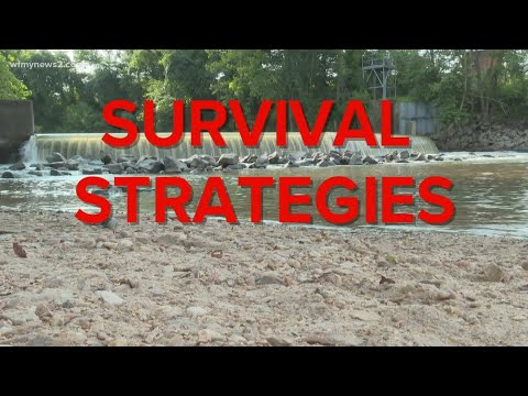 Surviving a dangerous dam hydraulic