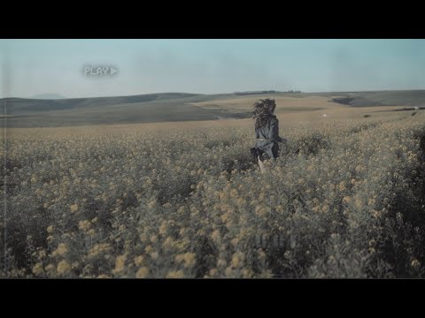 XOLICENTIA - Lve Sx Drms (prod. by Young Taylor)