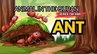 Ant | Animals in the Quran (15:20)