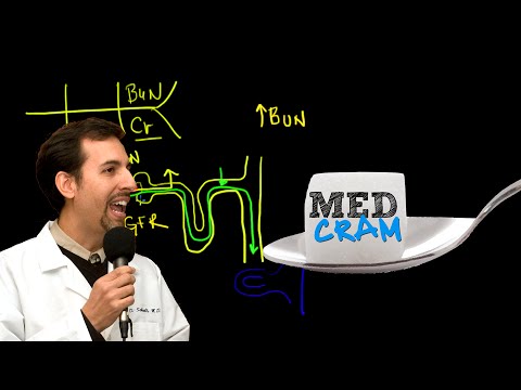 Acute Renal Failure Explained Clearly by MedCram.com | 2 of 3