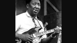 Muddy Waters  -  My Home is in the Delta