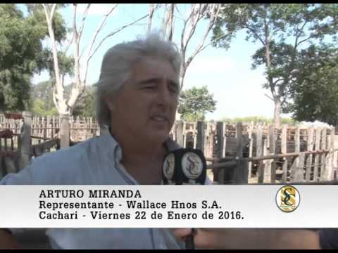 22-01-16 Nota Arturo Miranda - Wallace Hnos S.A. - Cacharì.