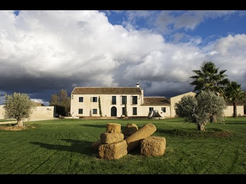 Presentación - Finca La Torre Sélection Biologique Hojiblanca Bidon 2L