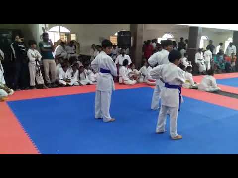 Bassai dai team kata #kata #teamkata #bassaidai #karate #karatekid #karatedo #wkf #wkfkarate