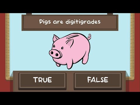World Record in platinum trophy in 16 seconds The Pig Quiz