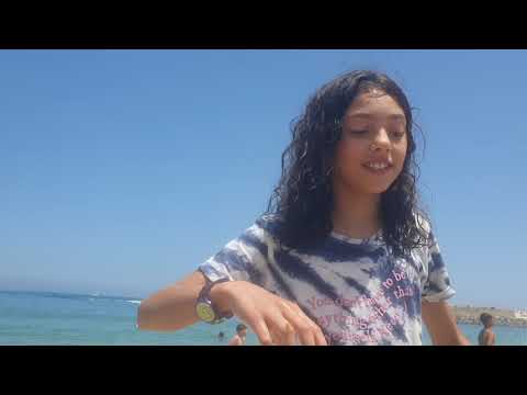 Las divertidas sofines - en la playa (at the beach)