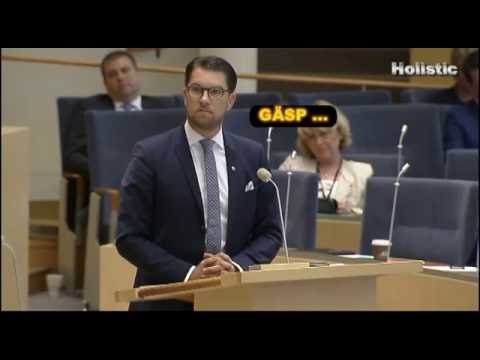 FÖRVIRRAD BATRA svamlar. Jimmie Åkesson tittar på.