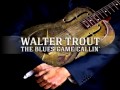 Walter Trout - Born in the City 