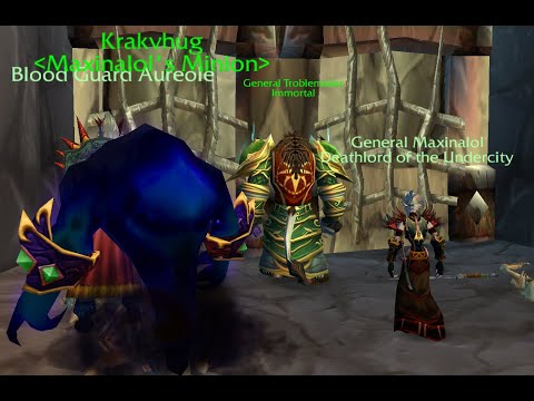 Turtle WOW - Druid 3v3 Arena Pov.