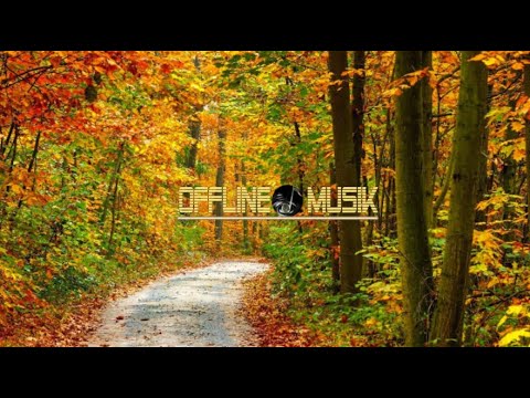 Mashup Germany - Bambini Rise (Mike Williams x Jonas Blue x Galantis x Walk the moon) + MP3