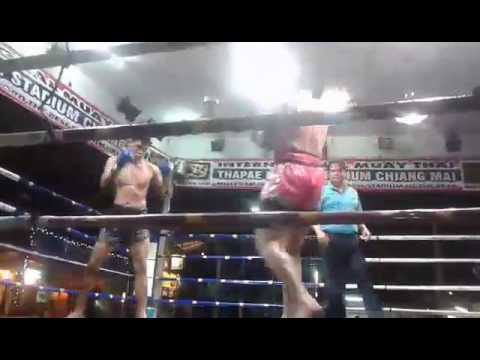 Muay Thai Boxing KO Thapae Stadium