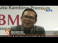 Peluncuran RBM Goat Milk SCTV