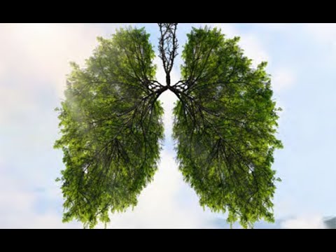 Die Gesundheit bei Hitze schützen | Webinar