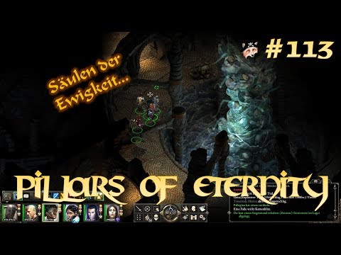 Pillars of Eternity [113]: Säulen der Ewigkeit...