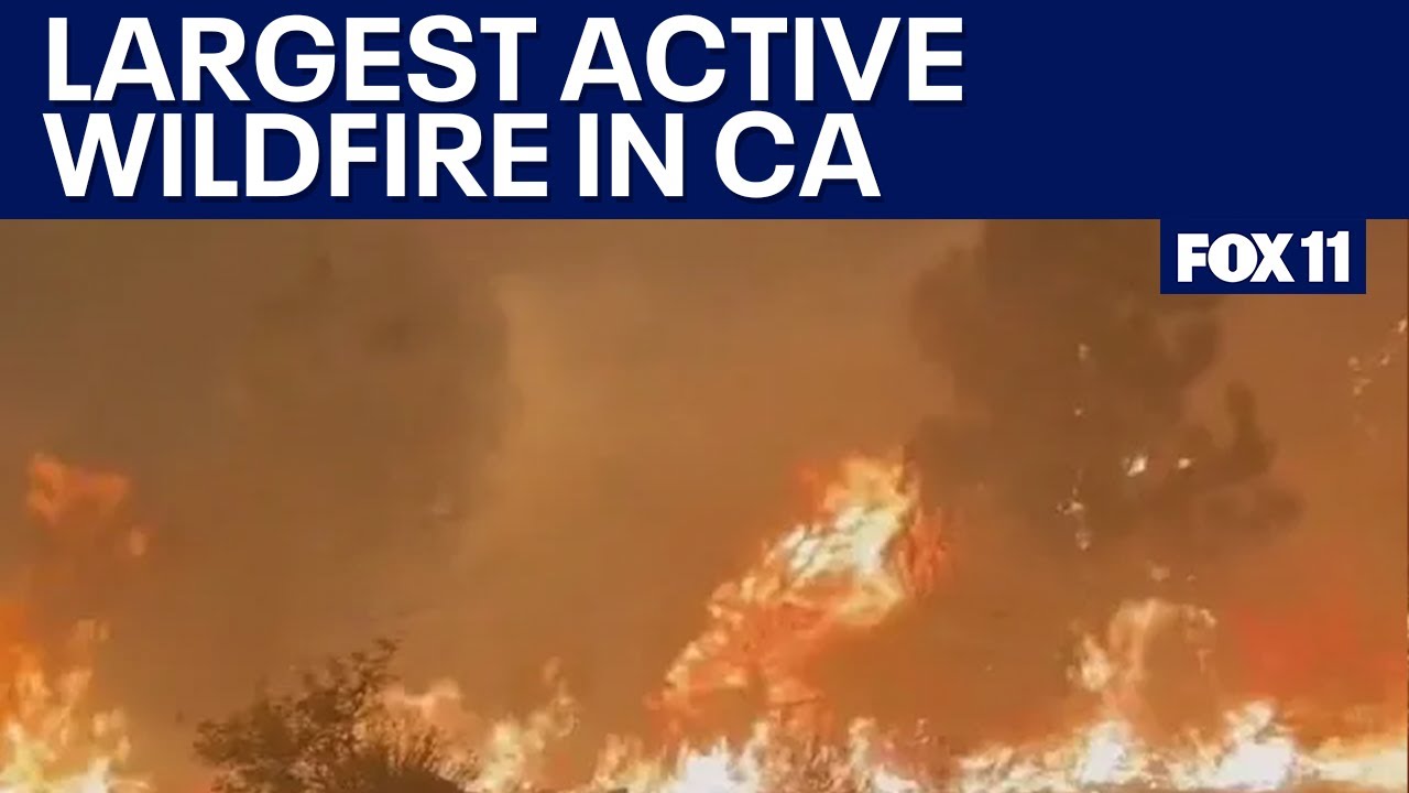 Homes destroyed in raging Bridge Fire