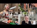 week in my life: saying goodbye, current fixation meal, cleaning, grocery haul