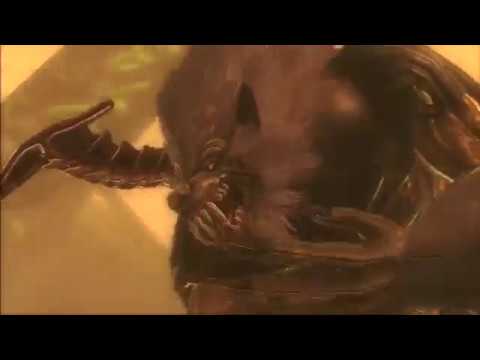 NGS2 - Volf MN Vs Flails Advanced Method (SoundDreamer)