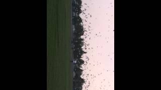 Just like the movies