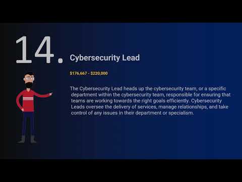 Part4 Cyber security Career Paths for Programmers / Non Programmers #cybersecurity #cyber #animation
