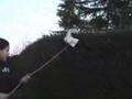 Dumbass Clip