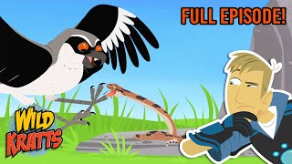 Download lagu Mystery on the Prairie | Season 3 | Full Episode | Animals for Kids | Wild Kratts mp3