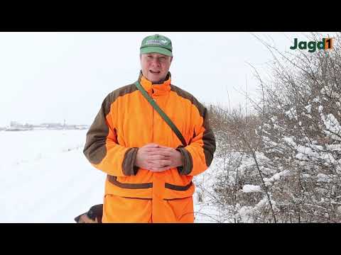 Jagd 1 - Winterspaziergang im Jagdrevier