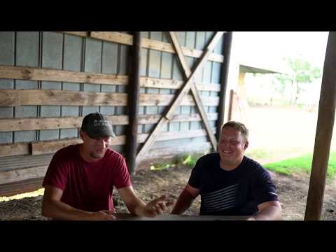 How to bale horse quality alfalfa