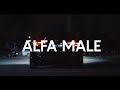 Alfa Male Alfa Romeo Short Film
