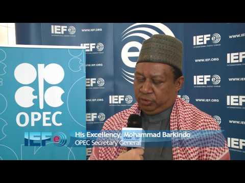 Mohammed Barkindo Interview