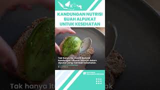 Kandungan Nutrisi dalam Buah Alpukat Bagus untuk Kesehatan Tubuh: Turunkan Kolesterol Tinggi