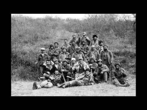 Թիֆլիսցի կամավորական Աշոտի երգը (Արցախյան պատերազմ). 1992 թ.