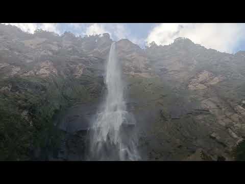Pascha del tolar 🤩¿Tú lo viste alguna vez está belleza ✨ Bolivia Santa Cruz Vallegrande Moro Moro 