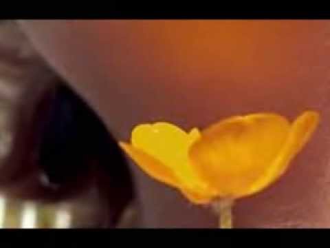 Thumbnail for Build Me Up Buttercup Cover Carol by Clem Curtis