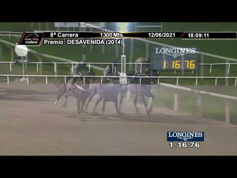 210612 c08 HAPPY POTATOE (BRZ)