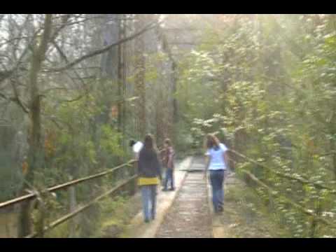 Ghost Bridge Video 2