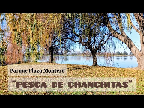 "CAVA SECRETA" + CHANCHITAS en La Laguna Difunto Manuel 🎣