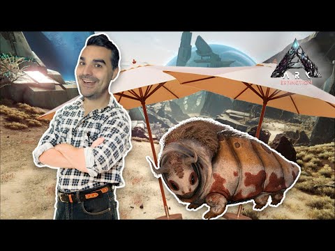 LA MEJOR TRAMPA QUE VERÁS PARA TAMEAR GASBAGS ¿ÉXITO o FAIL?