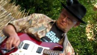 THE LIVELY ONES - 'SOUTHERN SURF'