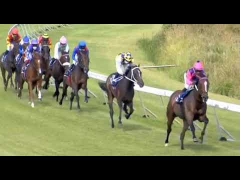 KOMMETDIEDING - Kenilworth 16/1/21