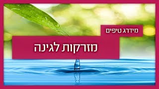 מזרקות לגינה - עשה זאת בעצמך