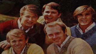 The Beach Boys ~ She Knows Me Too Well (Re-mix)