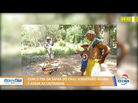 Vida no campo 02 12 2021