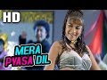 Mera Pyasa Dil Ranu Mukherjee Shera 1999 Songs