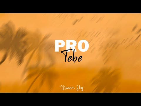 ManeriSky - ManeriSky - Pro Tebe (Official Lyric Video)
