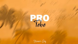 Video ManeriSky - Pro Tebe (Official Lyric Video)