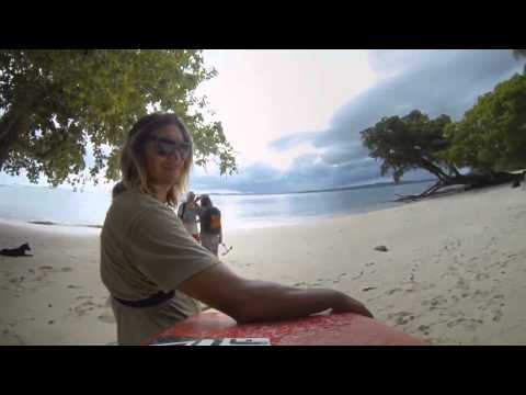 Nikola Gala- 4 Wings(Original Mix)